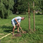 Reparatur der Beschädigungen auf der Ziegelwiese (06)