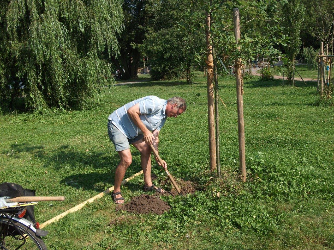 Reparatur der Beschädigungen auf der Ziegelwiese (06)