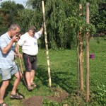 Reparatur der Beschädigungen auf der Ziegelwiese (07)