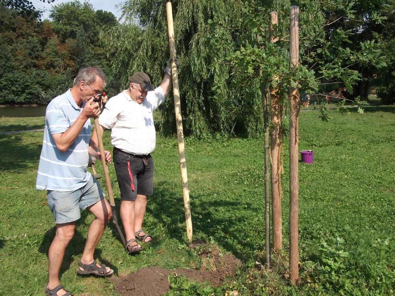 Reparatur der Beschädigungen auf der Ziegelwiese (07)