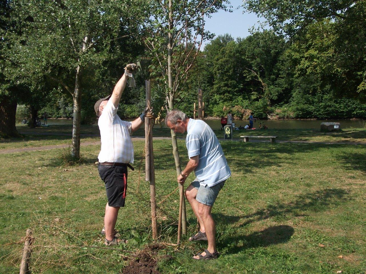Reparatur der Beschädigungen auf der Ziegelwiese (11)