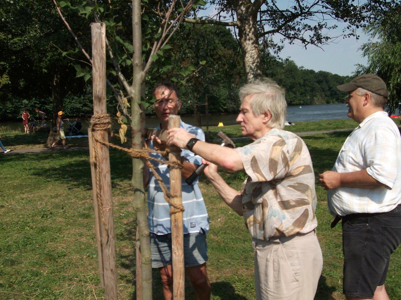 Reparatur der Beschädigungen auf der Ziegelwiese (14)