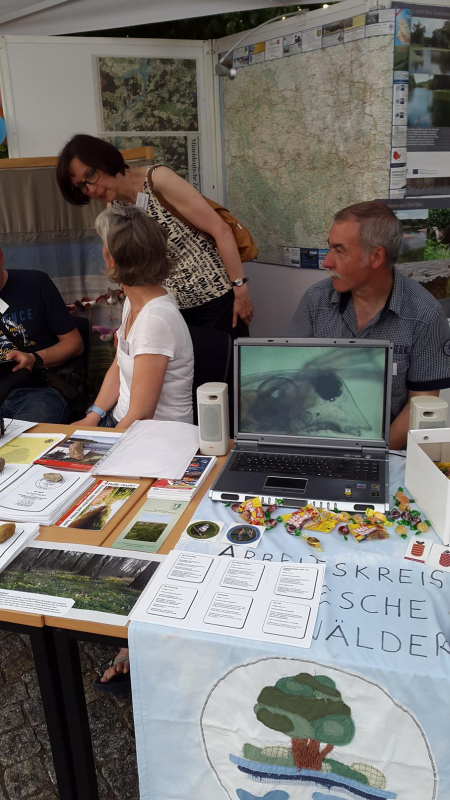 Unser Stand bei der langen Nacht der Wissenschaft 2015 (03)