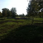 11a-Halle Weg Parallel & Südwestlich Gimritzer Damm Höhe Blick Nach Südwesten Zu Saugraben (1)