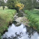 12a-Taucha-Parthe Zwischen Böttgerweg & Wiesenweg Blick Von Brücke Nach Südosten Flussaufwärts (1)