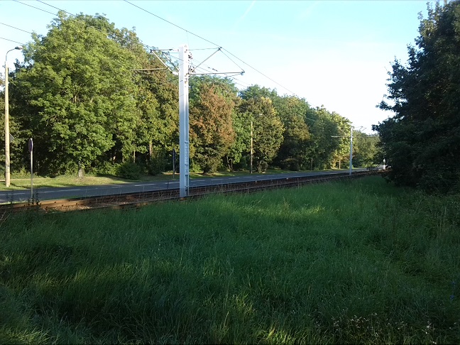 13a-Halle Blick Von Heideallee Nach Südosten Zu Gimritzer Damm (1)