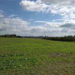 13a-Halle Granauer Weg Blick Nach Osten Zum Stadtgebiet (1)