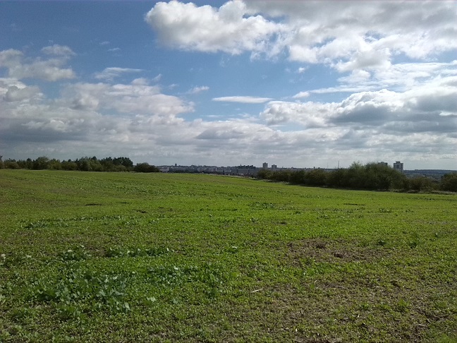 13a-Halle Granauer Weg Blick Nach Osten Zum Stadtgebiet (1)