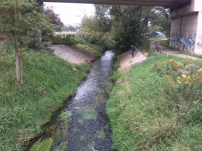 13a-Taucha-Parthe Zwischen Böttgerweg & Wiesenweg Blick Von Brücke Nach Nordwesten Flussabwärts (1)
