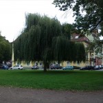 14a-Halle Blick Von Saalepromenade Zu Trauerweide Nach Südosten Ecke Emil-Eichhornstraße & Wasserweg (2)