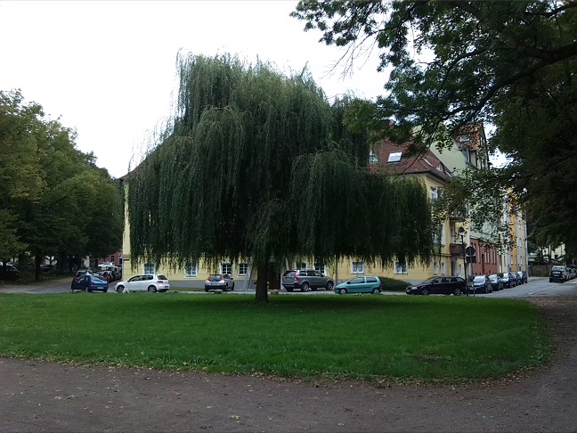 14a-Halle Blick Von Saalepromenade Zu Trauerweide Nach Südosten Ecke Emil-Eichhornstraße & Wasserweg (2)