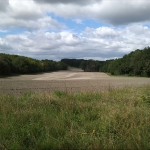 14a-Halle Granauer Weg Blick Nach Westen Zu Granauer Berg & Lintbusch & Dölauer Heide (1)