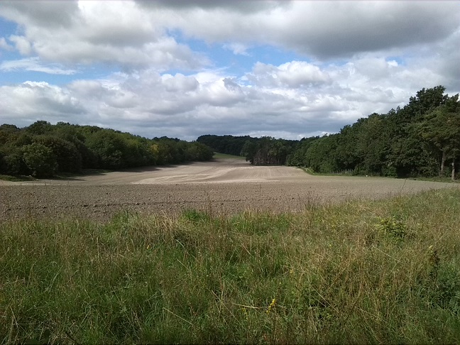 14a-Halle Granauer Weg Blick Nach Westen Zu Granauer Berg & Lintbusch & Dölauer Heide (1)