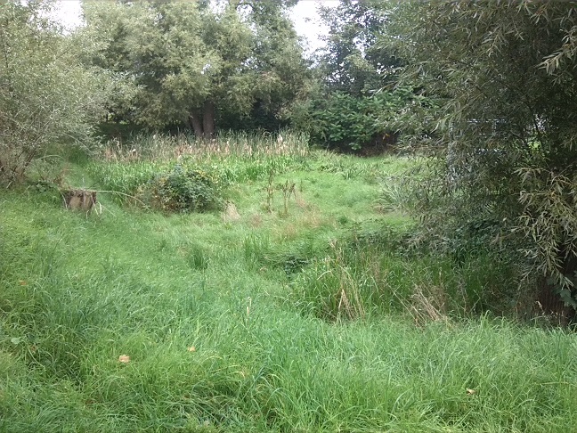 14a-Taucha Ecke Graßdorfer Straße & Seegeritzer Weg Blick Auf Teich Nach Nordwesten (1)