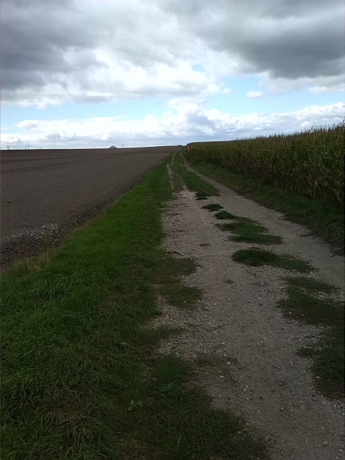 15a-Salzatal Bennstedt Weg Zwischen Lintbusch & Bennstedt Blick Nach Südwesten (1)