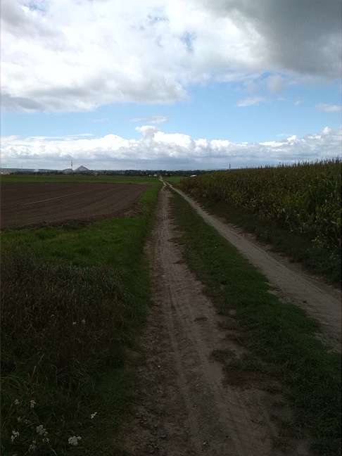 16a-Salzatal Bennstedt Weg Zwischen Lintbusch & Bennstedt Blick Nach Südwesten (2)