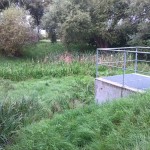 16a-Taucha Ecke Graßdorfer Straße & Seegeritzer Weg Blick Auf Teich Nach Nordwesten (1)