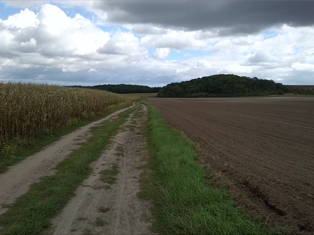 17a-Salzatal Bennstedt Weg Zwischen Bennstedt & Lintbusch Blick Nach Osten (1)