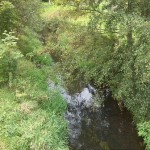 1a-Taucha-Blick Von Brücke Leipziger Straße Auf Parthe Flussaufwärts Nach Südosten (1)