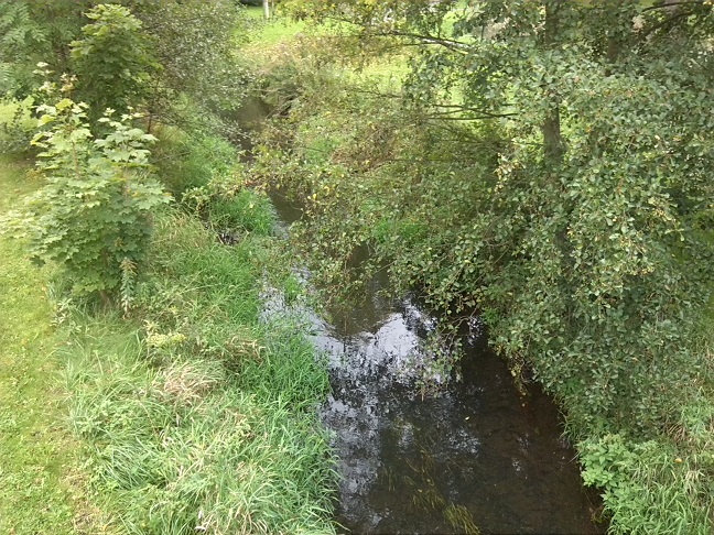 1a-Taucha-Blick Von Brücke Leipziger Straße Auf Parthe Flussaufwärts Nach Südosten (1)
