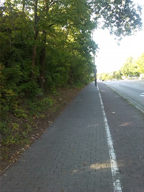 21a-Halle Heideallee Blick Zu Weinbergweg Nach Norden (1)