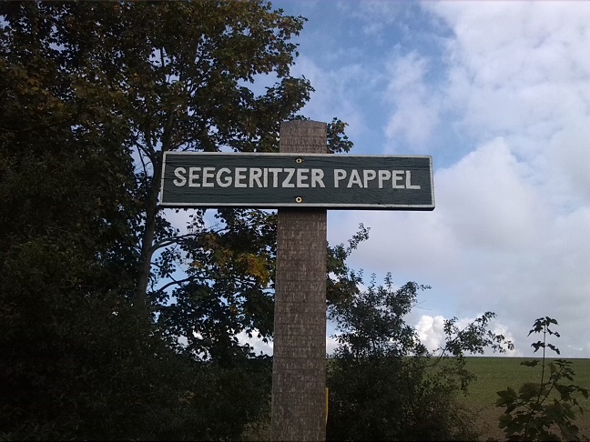 22a-Taucha Seegeritz Schild Seegeritzer Pappel An Seegeritzer Weg (2)
