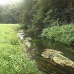 23a-Taucha Seegeritz Blick Auf Parthe Flussaufwärts Nach Südosten Oberhalb Mündung Hasengraben (2)