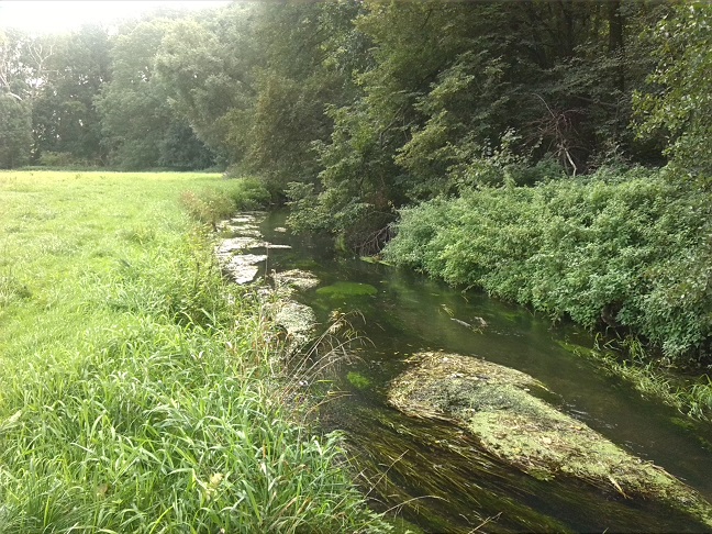 23a-Taucha Seegeritz Blick Auf Parthe Flussaufwärts Nach Südosten Oberhalb Mündung Hasengraben (2)