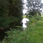 24a-Taucha Seegeritz Blick Auf Parthe Flussabwärts Nach Westen Unterhalb Mündung Hasengraben (1)