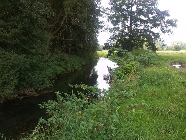 24a-Taucha Seegeritz Blick Auf Parthe Flussabwärts Nach Westen Unterhalb Mündung Hasengraben (1)