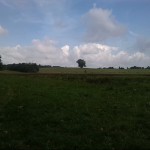 25a-Taucha Seegeritz Blick Aus Partheaue Nach Nordosten Oberhalb Mündung Hasengraben (1)