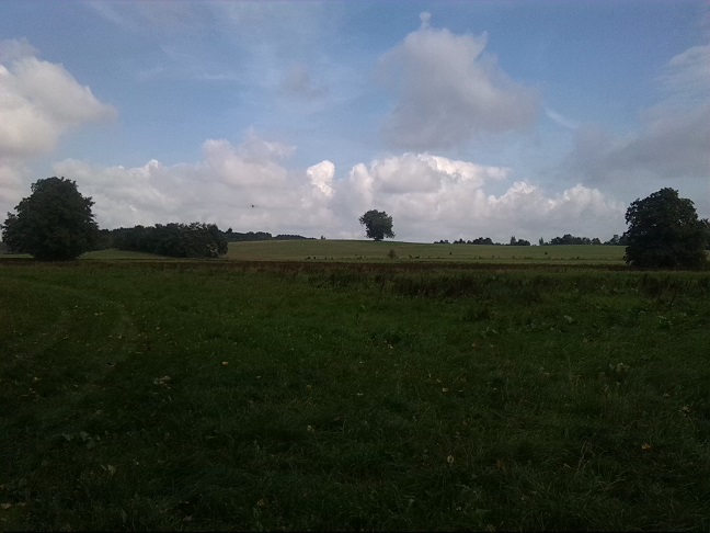 25a-Taucha Seegeritz Blick Aus Partheaue Nach Nordosten Oberhalb Mündung Hasengraben (1)