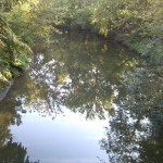 27a-Halle Blick Von SchwanenbrückeAuf Wilde Saale Flussaufwärts Nach Südwesten (1)