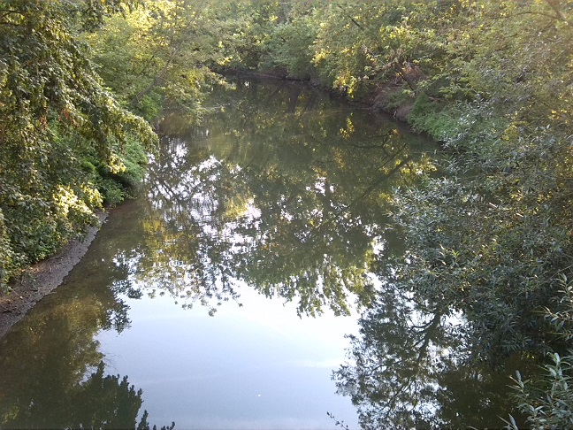 27a-Halle Blick Von SchwanenbrückeAuf Wilde Saale Flussaufwärts Nach Südwesten (1)