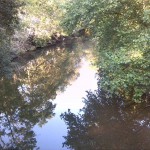 28a-Halle Blick Von Schwanenbrücke Auf Wilde Saale Flussabwärts Nach Nordosten (1)