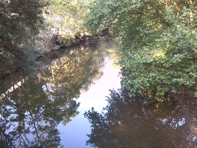 28a-Halle Blick Von Schwanenbrücke Auf Wilde Saale Flussabwärts Nach Nordosten (1)