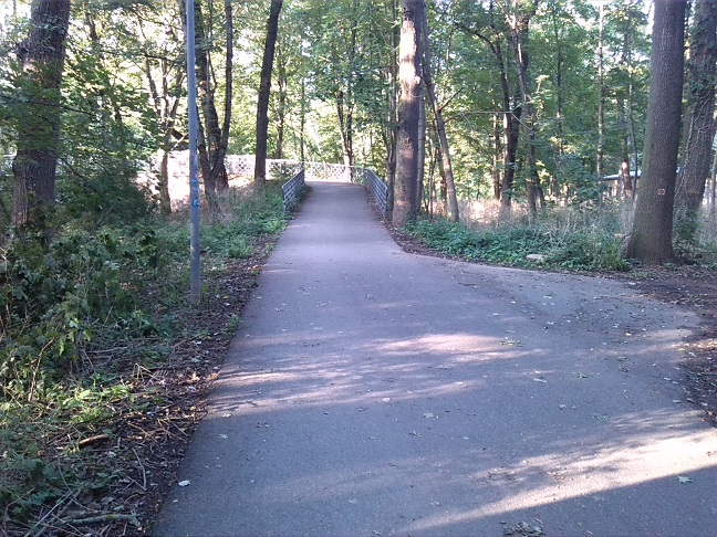 29a-Halle Peißnitz Weg & Auffahrt Schwanenbrücke (2)