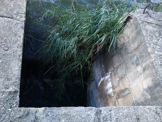 29a-Salzatal Köllme Überlauf Staubecken An Salza Blick Nach Westen