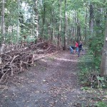 2a-Halle NSG Forstwerder Mittelweg Blick Nach Nordosten (2)