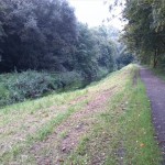 2a-Taucha-Parthe Zwischen Auenweg & Am Weinberge Blick Flussaufwärts Nach Südosten (2)