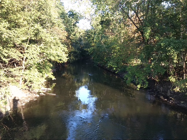 30a-Halle Blick Von Schwanenbrücke Auf Wilde Saale Flussabwärts Nach Südwesten(1)