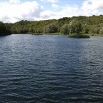 30a-Salzatal Köllme Staubecken An Salza Blick Nach Westen (2)