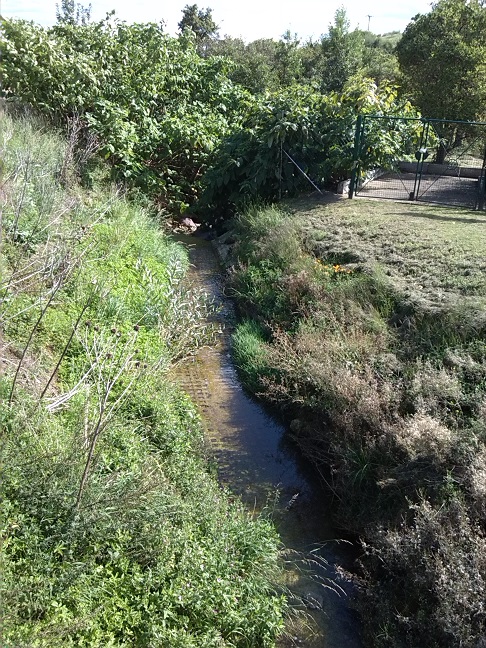31a-Salzatal Langenbogen Wellbach An L156 Blick Nach Südosten (1)