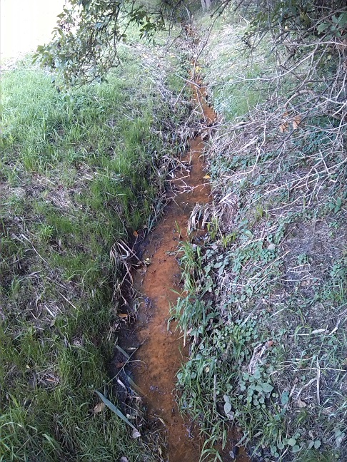 31a-Taucha Seegeritz Brücke Seegritzer Weg Blick Auf Hasengraben Nach Nordwesten Bachaufwärts (1)