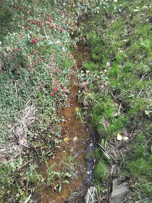 32a-Taucha Seegeritz Brücke Seegritzer Weg Blick Auf Hasengraben Nach Südosten Bachabwärts In Richtung Einmündung In Parthe (1)
