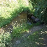 33a-Salzatal Langenbogen Wellbach An L156 Blick Nach Osten (1)