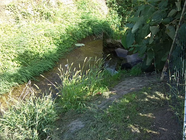 33a-Salzatal Langenbogen Wellbach An L156 Blick Nach Osten (1)