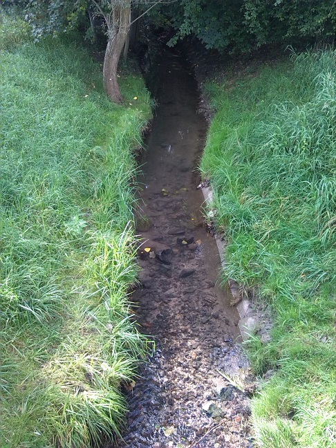 34a-Leipzig-Plaußig Seegeritzer Weg Blick Auf Rüdgengraben Gewässerabwärts Nach Süden In Richtung Mündung In Parthe (2)