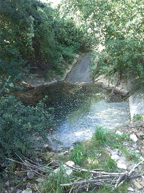 35a-Salzatal Langenbogen Wellbach An L156 Blick Nach Nordwesten (3)
