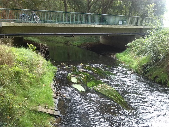36a-Leipzig-Plaußig Blick Von Parthe Flussaufwärts Nach Osten Auf Brücke Grundstraße (1)